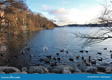 Norr MÃ¤larstrand`s Beach Promenade in Stockholm Editorial Stock Image - Image of flowers, beach ...