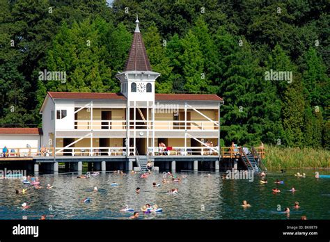 Hot springs, thermal spa in Hévíz, Lake Balaton, Balaton, Hungary ...