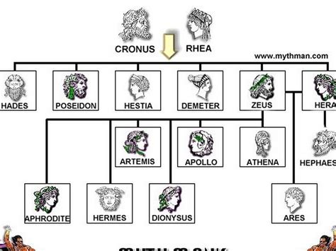 Zeus Family Tree Template