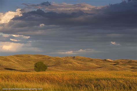 Hills of Gold | Valentine National Wildlife Refuge, Nebraska Sandhills | Brad Williams Photography