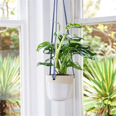 Ceramic Hanging Planter By Libby Ballard Ceramics