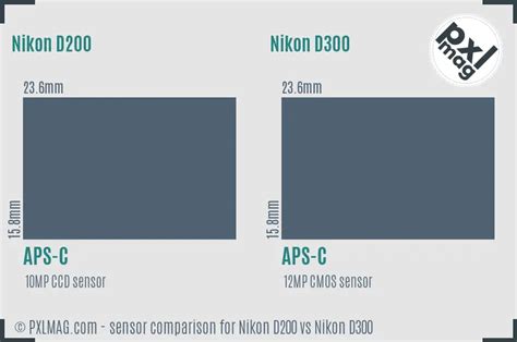 Nikon D200 vs Nikon D300 Full Comparison - PXLMAG.com