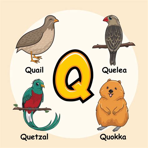 animales alfabeto letra q para codorniz quelea quetzal quokka 3281053 ...