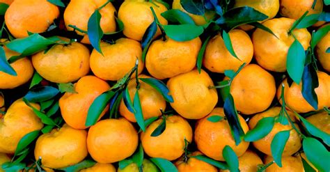 Pile Of Orange Fruits · Free Stock Photo