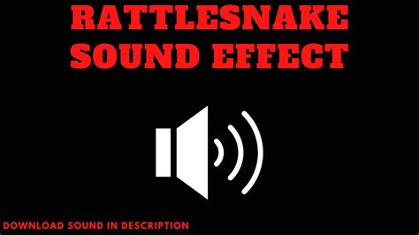 Rattlesnake - Sound Effect - YouTube