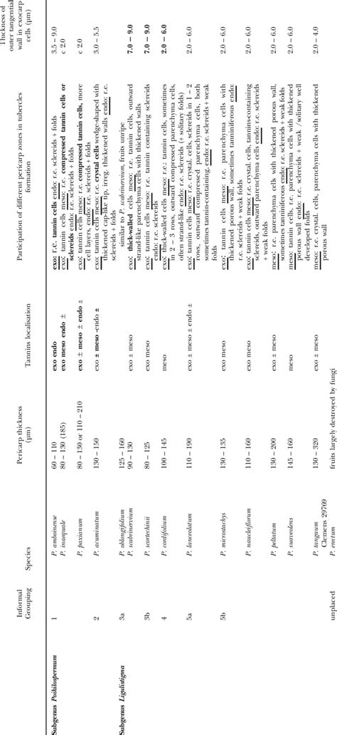 Pericarp structure in Poikilospermum (features highlighted in informal ...