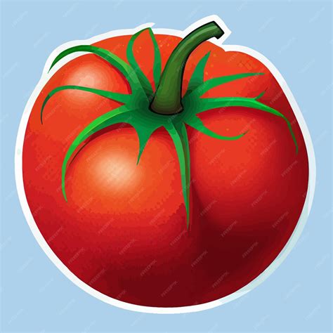 Premium Vector | Cute tomato fruit sticker digital illustration tomato ...