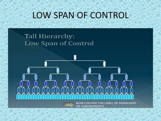 Span of control ppt