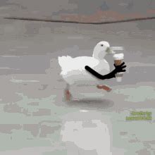 Duck Run GIF - Duck Run - Discover & Share GIFs