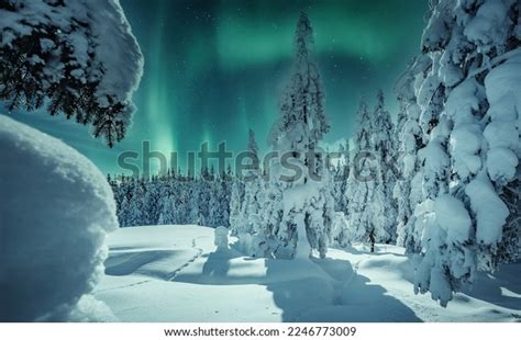 12,517 Lapland Northern Light Images, Stock Photos, 3D objects ...