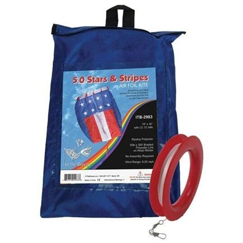 5.0 Air Foil Kite > Kites & Supplies > Beach Activities / Sports | BeachNecessities.com