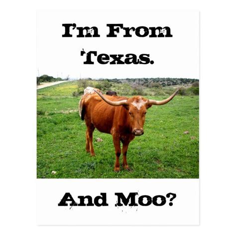 Texas Longhorn With Funny Texas Saying Postcard | Zazzle