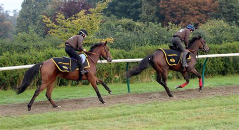 Racehorse training facilities | Newmarket racehorse trainer UK