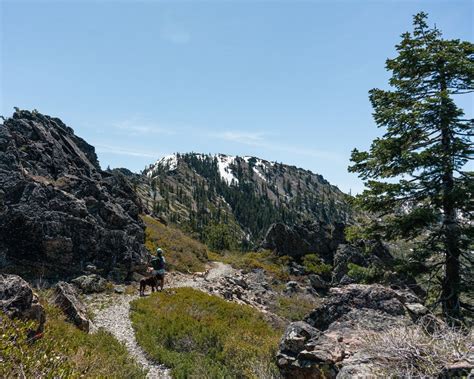 The Best Mt Shasta Hiking Guide » The Modern Female Hiker