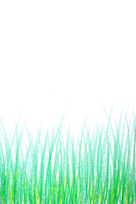 grass isolated on white background. 13809084 Stock Photo at Vecteezy