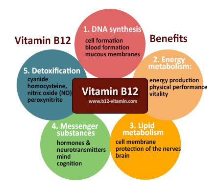 Vitamin B12 - An Overview