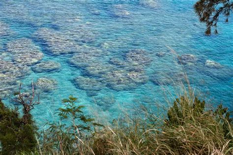 Snorkeling in Honolua Bay - Breathtaking Underwater Gem