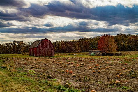 Barn in the pumpkin patch Photograph by Jonathan Miller - Fine Art America