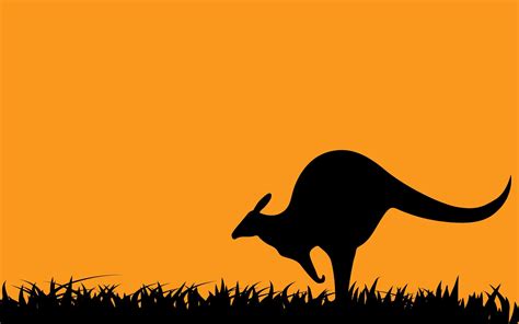 Kangaroo Wallpapers - Wallpaper Cave