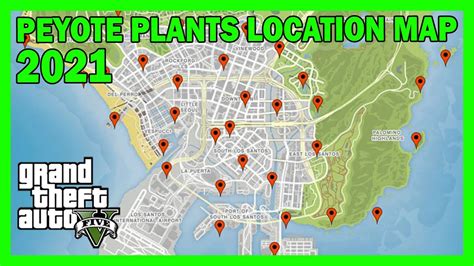 PEYOTE PLANTS LOCATION MAP OCTOBER-NOVEMBER 2021 - ALL PEYOTE PLANTS LOCATIONS | GTA 5 ONLINE ...