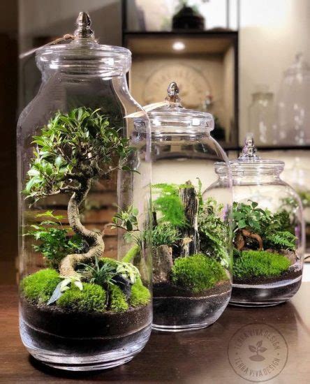 30 DIY Closed Terrarium Ideas | How to Make a Closed Terrarium