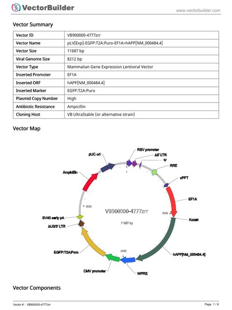 Lentiviral Vector App | PDF | Vector (Molecular Biology) | Promoter ...