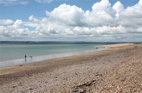 Dog walking on Hayling Island | Hayling Island Site