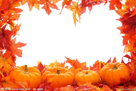 Autumn leaf color Clip art - Autumn Leaves Border png download - 1024*683 - Free Transparent ...