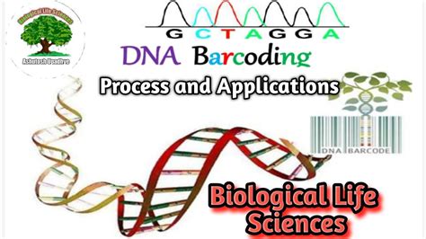 DNA Barcoding Process and Applications - YouTube