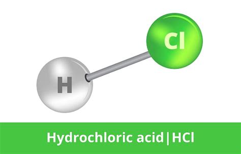 Hydrochloric Acid - The Definitive Guide | Biology Dictionary