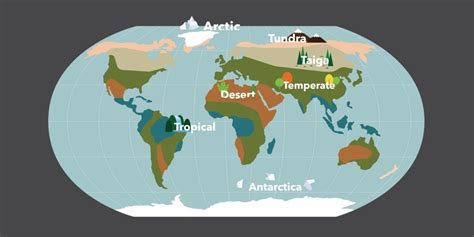 Grassland Biome World Map