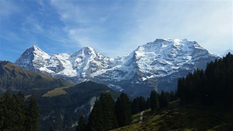 The Swiss Alps continue to rise: Evidence from cosmic rays show lift outpaces erosion