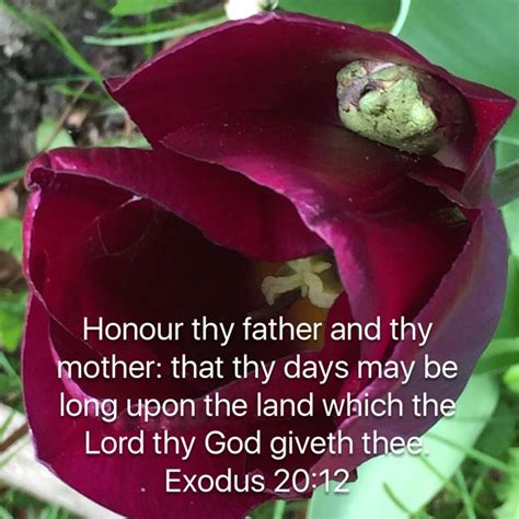 Exodus 20:12, King James Version (KJV) | Bible verse pictures, Bible ...