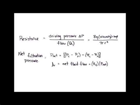 18+ Calculate Net Filtration Pressure - JemmaSharon