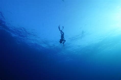 Your Ultimate Guide to Blue Water Diving! 2023