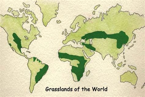 Grasslands Of The World Map - Winter Olympics 2024 Medals