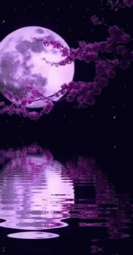 a full moon is reflected in the water with pink flowers on it's branches
