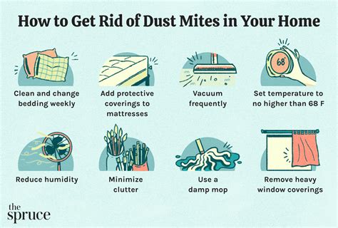 Baking Soda Carpet Dust Mites - Home Alqu