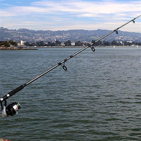 How To Set Up Fishing Pole | A Simple Guide For Fishing Line Setup