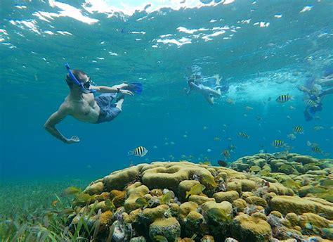 Snorkeling At Paradise Beach Cozumel – DesertDivers