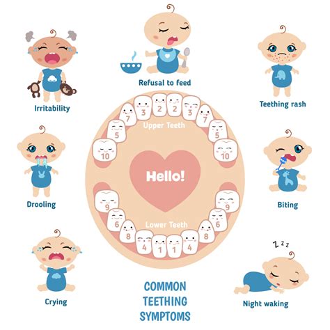 Baby Teething: Signs, Symptoms, Remedies, and FAQs - St. Johns Pediatric Dentistry | Baby ...