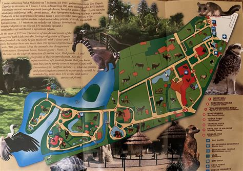 Zoo Map - undated - ZooChat