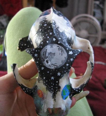 Caracal skull by Miss-Little-Mouse on DeviantArt