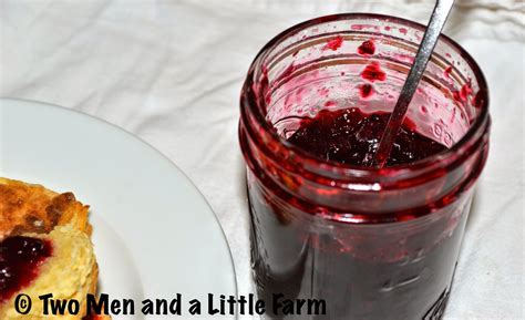 Two Men and a Little Farm: DEWBERRY JAM IS DELICIOUS