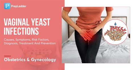 Vaginal Yeast Infections: Causes, Symptoms, Risk Factors, Diagnosis, Treatment and Complications