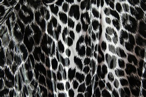 Leopard Pattern Black And White · Free photo on Pixabay