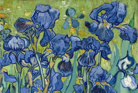 Five Ways of Seeing Van Gogh's Irises | Van gogh irises, Van gogh ...