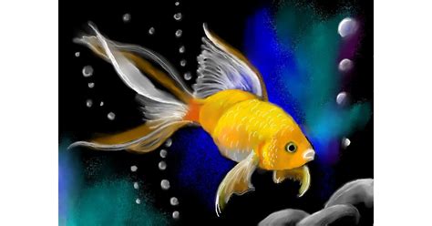 Drawing of Goldfish by PrettyPixels - Drawize Gallery!