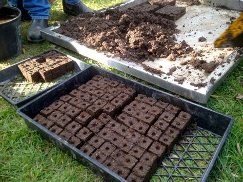 Southern Green Living: DIY Soil Block Maker