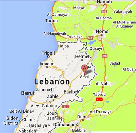 Syria’s war flares on Lebanon border – Ya Libnan